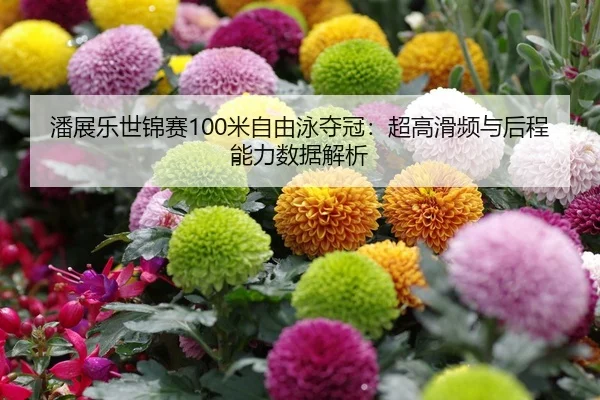 潘展乐世锦赛100米自由泳夺冠：超高滑频与后程能力数据解析