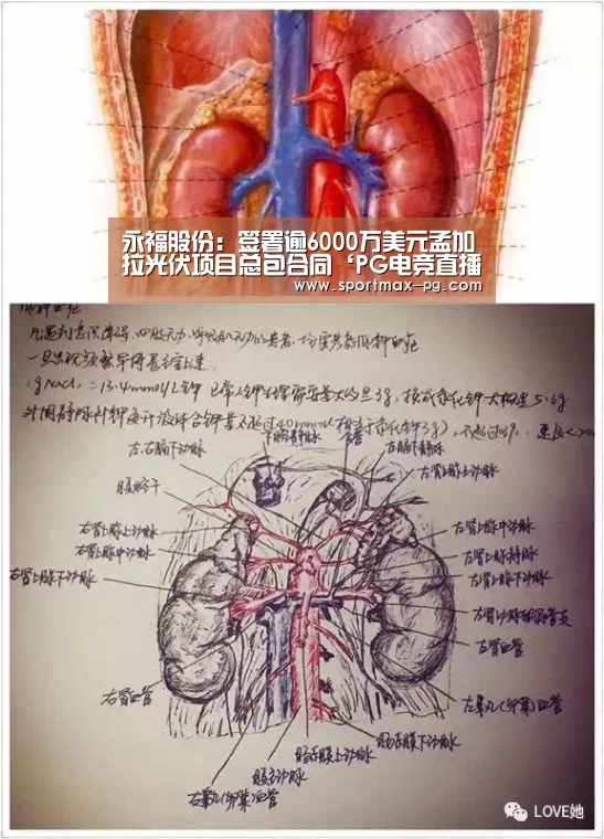 PG老虎机