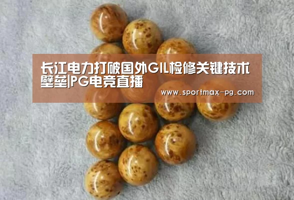 PG老虎机