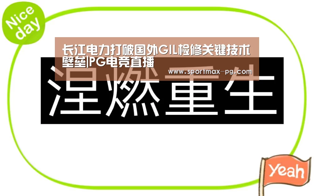 PG在线