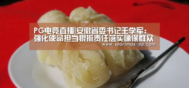 PG电竞直播|安徽省委书记王学军：强化使命担当狠抓责任落实确
